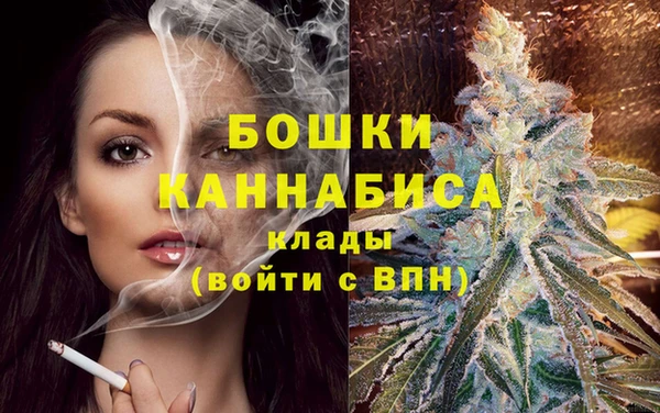 Альфа ПВП Алексин