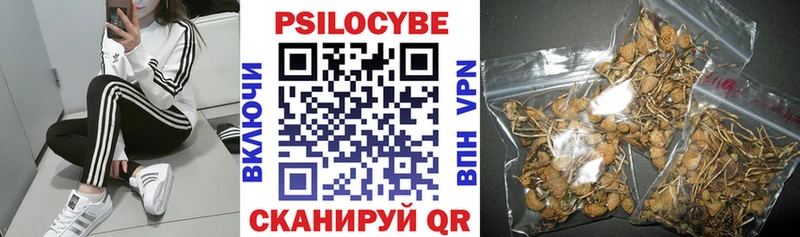 Псилоцибиновые грибы ЛСД гидра ТОР Евпатория наркота
